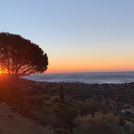 Maison Avec Vue Panoramique Cavalaire-sur-Mer Dış mekan fotoğraf