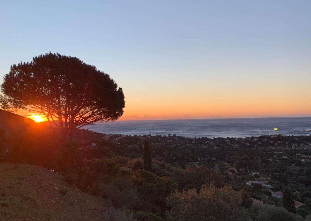 Maison Avec Vue Panoramique Cavalaire-sur-Mer Dış mekan fotoğraf